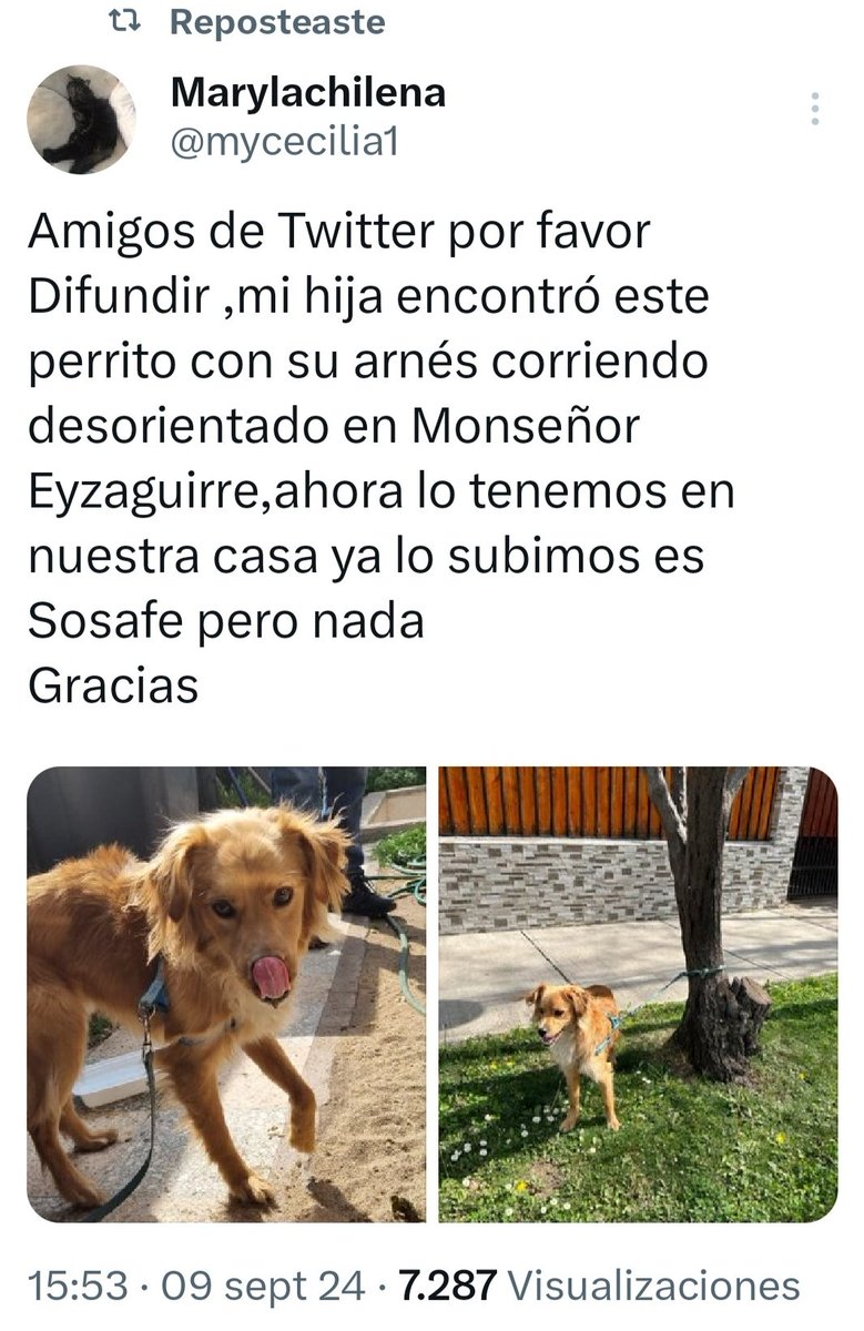 Marylachilena (@mycecilia1) on Twitter photo 