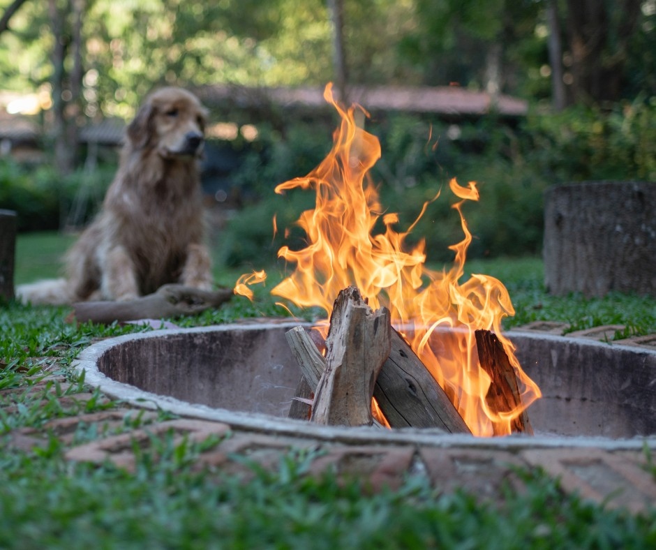 Planning a cozy campfire on a cool autumn night? If your pets will be out in the yard with you, make sure to set up a barrier between your pets and the open flames and keep a close eye on your dog or cat at all times to make sure they stay safe.

#PetTips #PetStore #FallPetTips