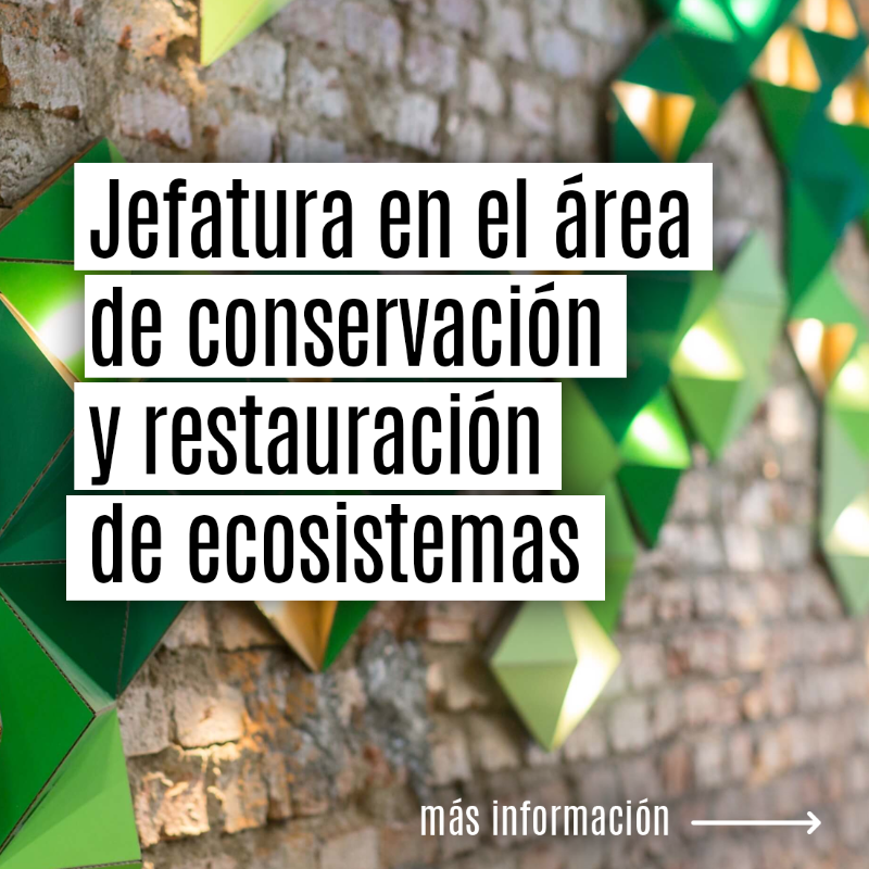 FBiodiversidad's tweet photo. Ofertas de #empleo:

-Jefatura - Área de conservación y restauración de ecosistemas
-Técnico/a 1ª - Área Bioeconomía
-Técnico/a - Área de Bioeconomía
🗓️26 Noviembre

-Técnico/a 1ª jurídico - Área de Secretaría General
-Jefatura jurídica - Área de Secretaría General
🗓️27 Noviembre