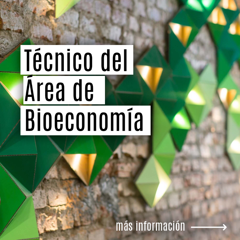 FBiodiversidad's tweet photo. Ofertas de #empleo:

-Jefatura - Área de conservación y restauración de ecosistemas
-Técnico/a 1ª - Área Bioeconomía
-Técnico/a - Área de Bioeconomía
🗓️26 Noviembre

-Técnico/a 1ª jurídico - Área de Secretaría General
-Jefatura jurídica - Área de Secretaría General
🗓️27 Noviembre
