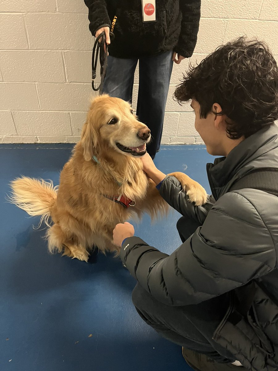Pitt_ATHLETICS's tweet photo. Yesterday, Pitt Athletics celebrated its own Mental Health Awareness Day 💚

It was a day of appreciation for student-athletes and staff that included…

Therapy pet visit 🐶 https://t.co/tXwZPCK7RY
