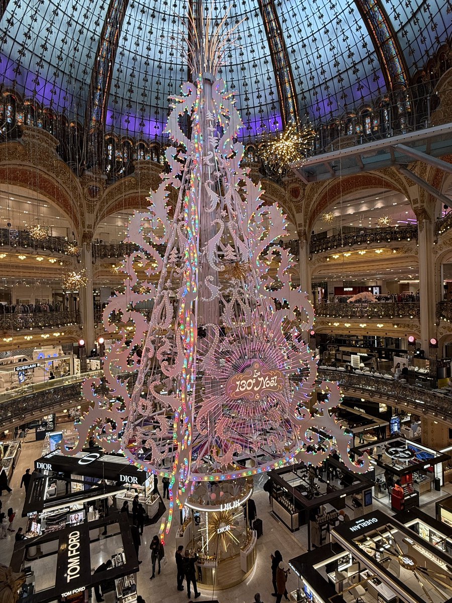 Christmas is Christmassing in Paris already✨

Thoughts on the Galeries Lafayette Christmas tree for 2024? #traveltribe