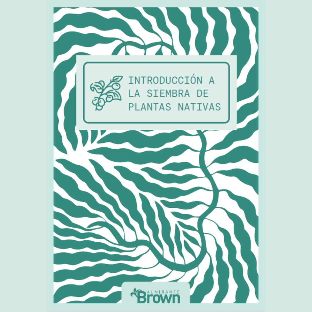 🌱¿Sabías que en Almirante Brown tenemos una guía de siembra de plantas nativas? 

La guía "Introducción a la Siembra de Plantas Nativas", lanzada en 2023, es el recurso ideal para quienes desean comenzar a cultivar plantas autóctonas de nuestra región
👇