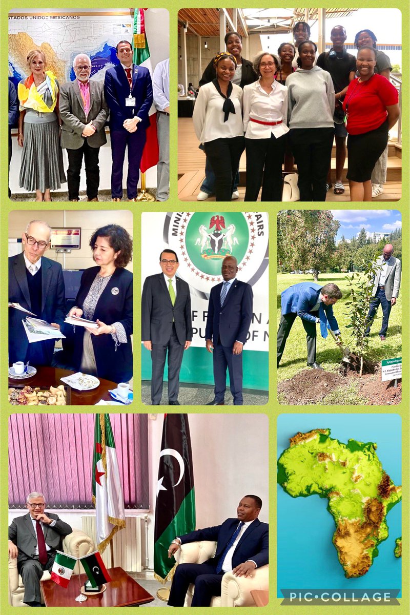 OctavioTripp's tweet photo. 🇲🇽 en Africa. Académicos, estudiantes, diplomáticos y funcionarios, interlocutores constantes de los embajadores de 🇲🇽 en 🇩🇿🇪🇬🇪🇹🇲🇦 🇳🇬🇿🇦. 

🇲🇽 in África.This week Mexican Ambassadors having interactions with academicians, students, diplomats and public officials in 🇩🇿🇪🇬🇪🇹🇲🇦🇳🇬🇿🇦. https://t.co/4HV16zuniz