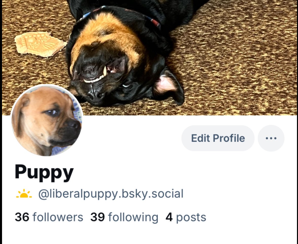 liberalpuppy's tweet image. 🎶 If you want to follow me, you’ve got play pinball…and put in your earplugs, put on your eyeshades, you know where to put the cork…