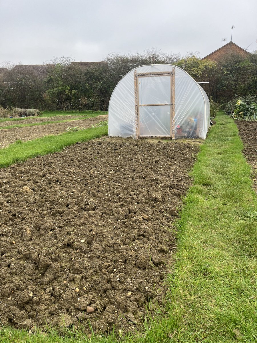 allotmentonline's tweet photo. So although this time of year feels a bit bleak we sow and plant with promise and hope for the coming seasons…

Yesterday we planted garlic cloves, onion sets and spring bulbs 🌱

#autumnsowing #autumnplanting #growyourown #autumnallotment https://t.co/K0QjB5rpFh