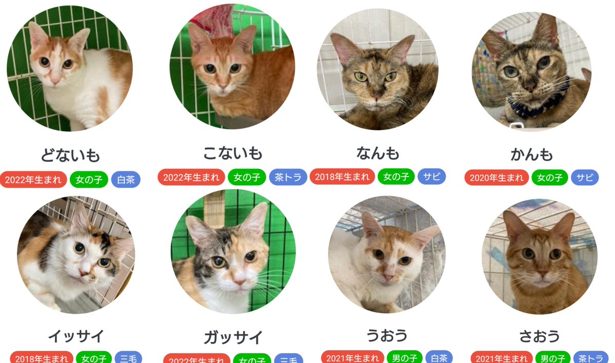 名前がかわい過ぎる🤣