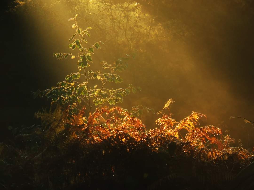 “Some believe it is only great power that can hold evil in check, but that is not what I have found. It is the small everyday deeds of ordinary folk that keep the darkness at bay. Small acts of kindness and love."