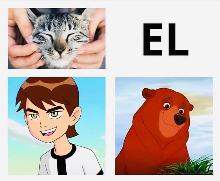 Gankoo chikito 🤠 tweet media