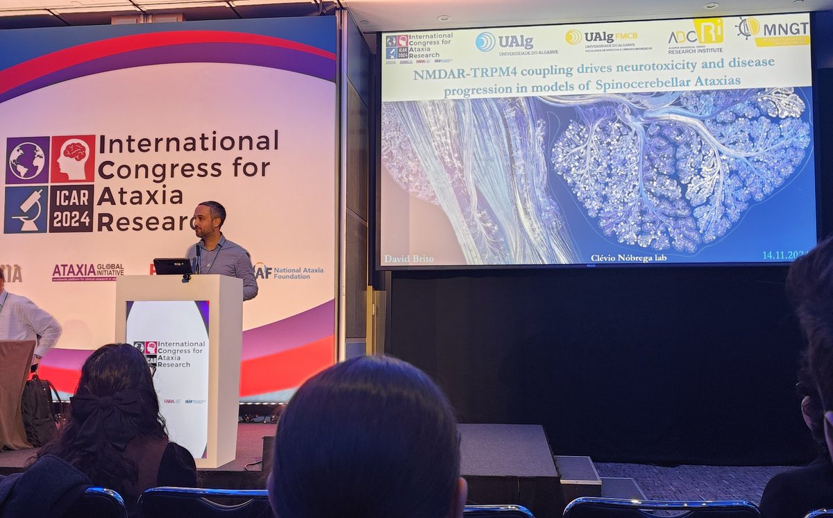 Clévio Nóbrega Lab (@clevio_lab) on Twitter photo Last presentation at #ICAR by or lab! We would like to thank the organization for giving us the opportunity to share our work in this event!
<a href="/davidvcbrito/">David Brito</a>
#AtaxiaUK #AtaxiaAwareness #AtaxiaResearch #researchers Last presentation at #ICAR by or lab! We would like to thank the organization for giving us the opportunity to share our work in this event!
<a href="/davidvcbrito/">David Brito</a>
#AtaxiaUK #AtaxiaAwareness #AtaxiaResearch #researchers