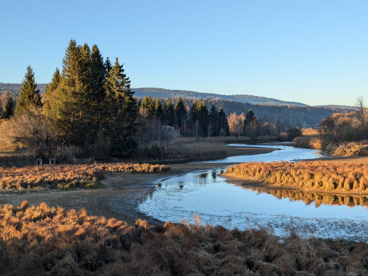 Tête du lac de Joux...
Belle fin de journée ☺️😘