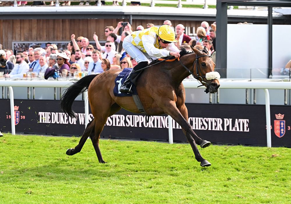 ⭐️ALPHONSE LE GRANDE⭐️

🥇Chester Plate
🥇Northumberland Vase 
🥇Cesarewitch