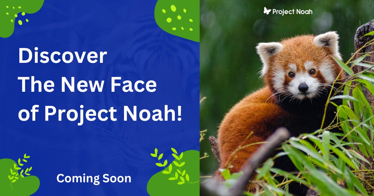 Project Noah tweet media