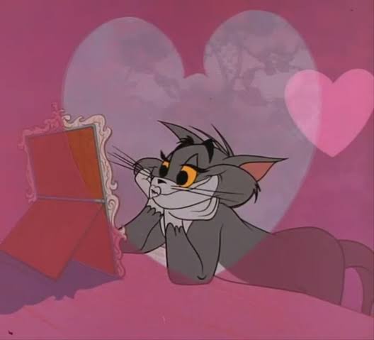 5SOS México Oficial (@5sosmexico) on Twitter photo 