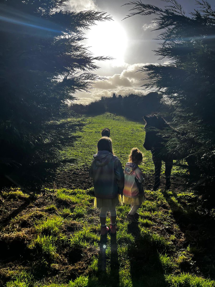 MovementPLus tweet media