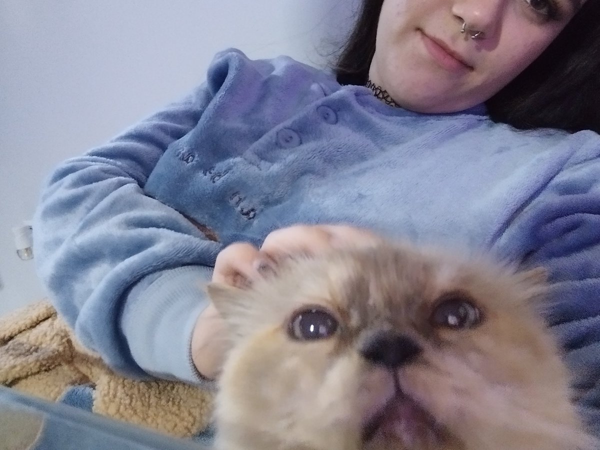 Payasa691's tweet photo. Mi amiga y yo buscamos miausumiso miaufinanciero para pagarnos los whiskas y los ices teas 🗣️🗣️🐕al dm ya #miau #gatosalpoder #gatajovencita #gatita #gata #woof #perro #perrito https://t.co/w0OZTSISH9