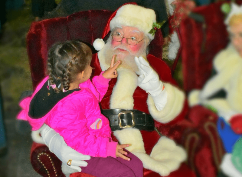 NatureCoaster.com tweet media