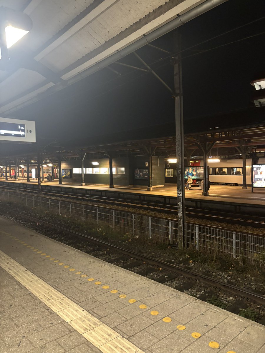 Stinus Lindgreen tweet media