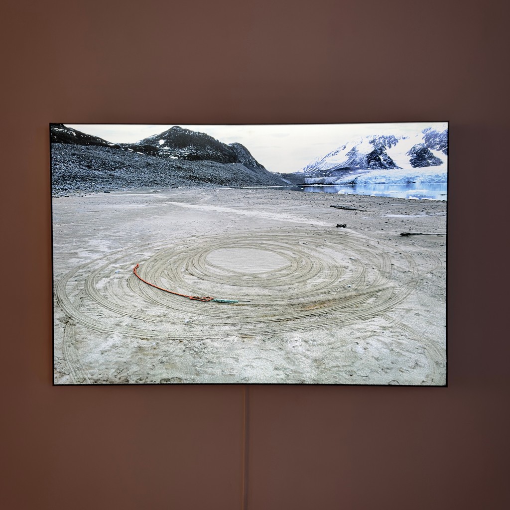 Red Head Gallery tweet media