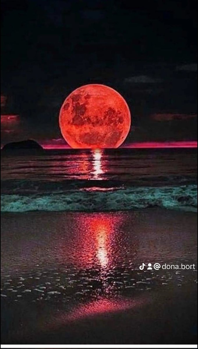 donabortu2's tweet photo. RELATOS DE MI ALMA .
" La vida me enseñó a pensarte, soñarte, quererte, amarte y también a extrañarte pero, me hará saber cómo vivir sin vos.
Será posible que cuándo estés a mi lado pueda decir que éres él sueño que la vida ha hecho realidad". D.D.B... https://t.co/9S03VfKgMZ