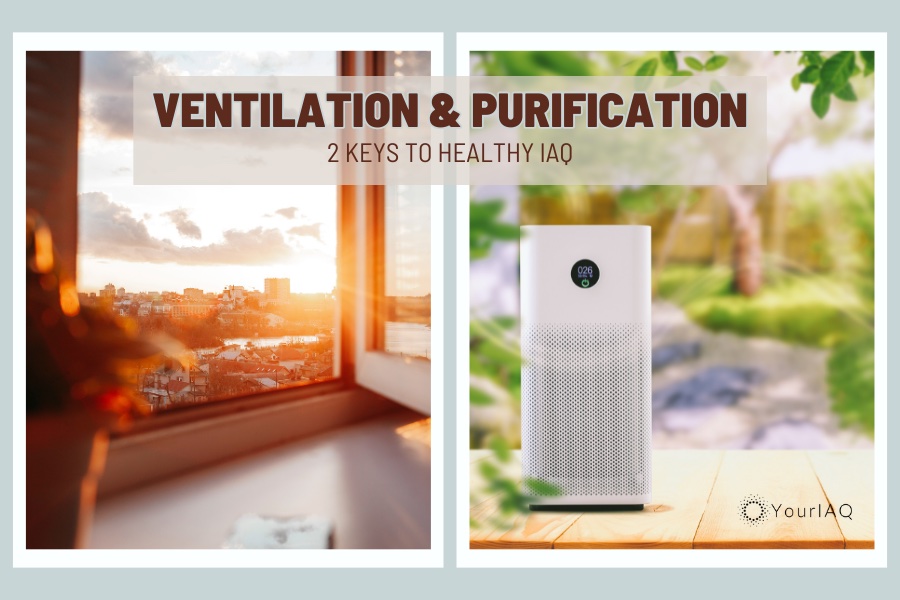 yourIAQ's tweet photo. Wondering how to keep your indoor air fresh and clean? 🌬️ Learn the difference between ventilation and purification and why both are crucial for a healthy home. https://t.co/Jxs9EGualC

#Health #Wellness #HealthAndWellness #HealthyLiving #HealthyHome #AirPollution #AirQuality https://t.co/ZJn43T10GN