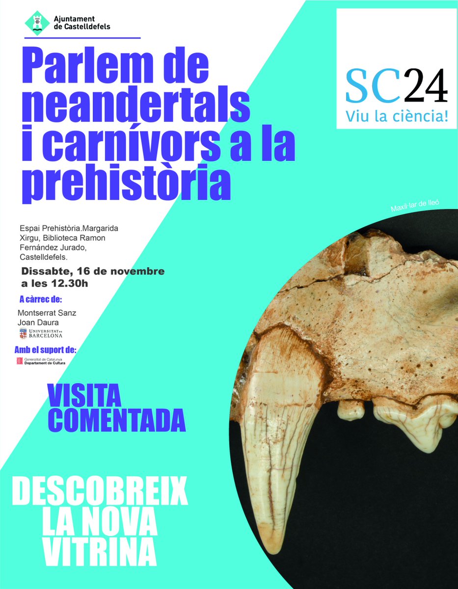 Joan Daura tweet media