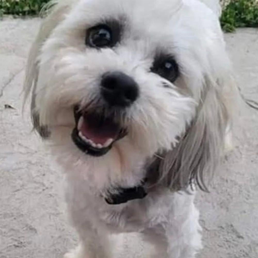 Just submitted our request to [Teddy The Blind Dog] - [$TEDDY] through CoinMarketCap! 

Request ID: 1012522 

🔗 coinmarketcap.com/dexscan/solana…

<a href="/CoinMarketCap/">CoinMarketCap</a>