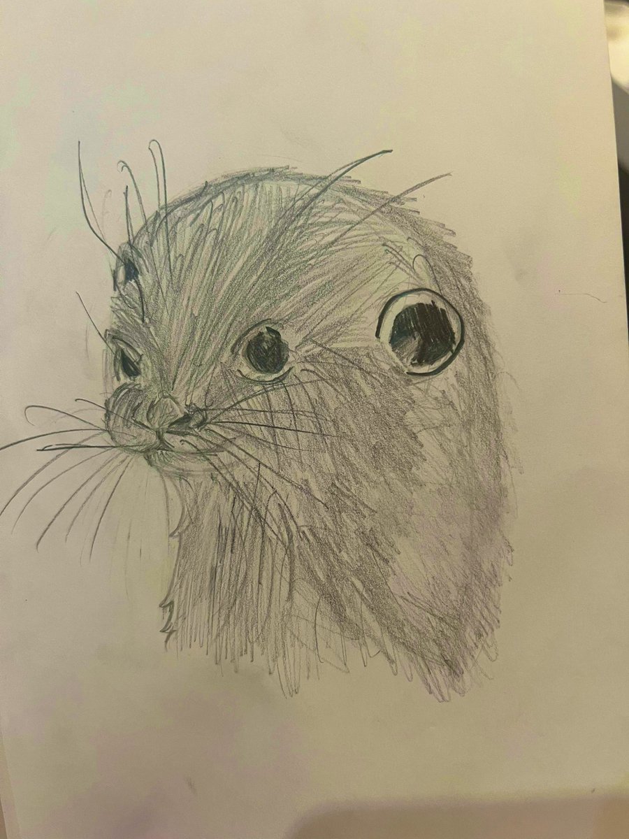 LadyCrocs tweet media