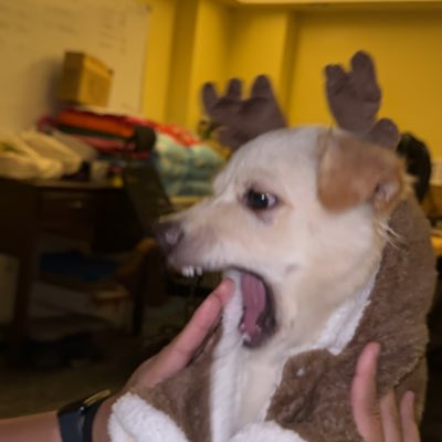 anghelaaa08's tweet photo. #NewProfilePic
#babyshark https://t.co/jGLDIuD8OG
