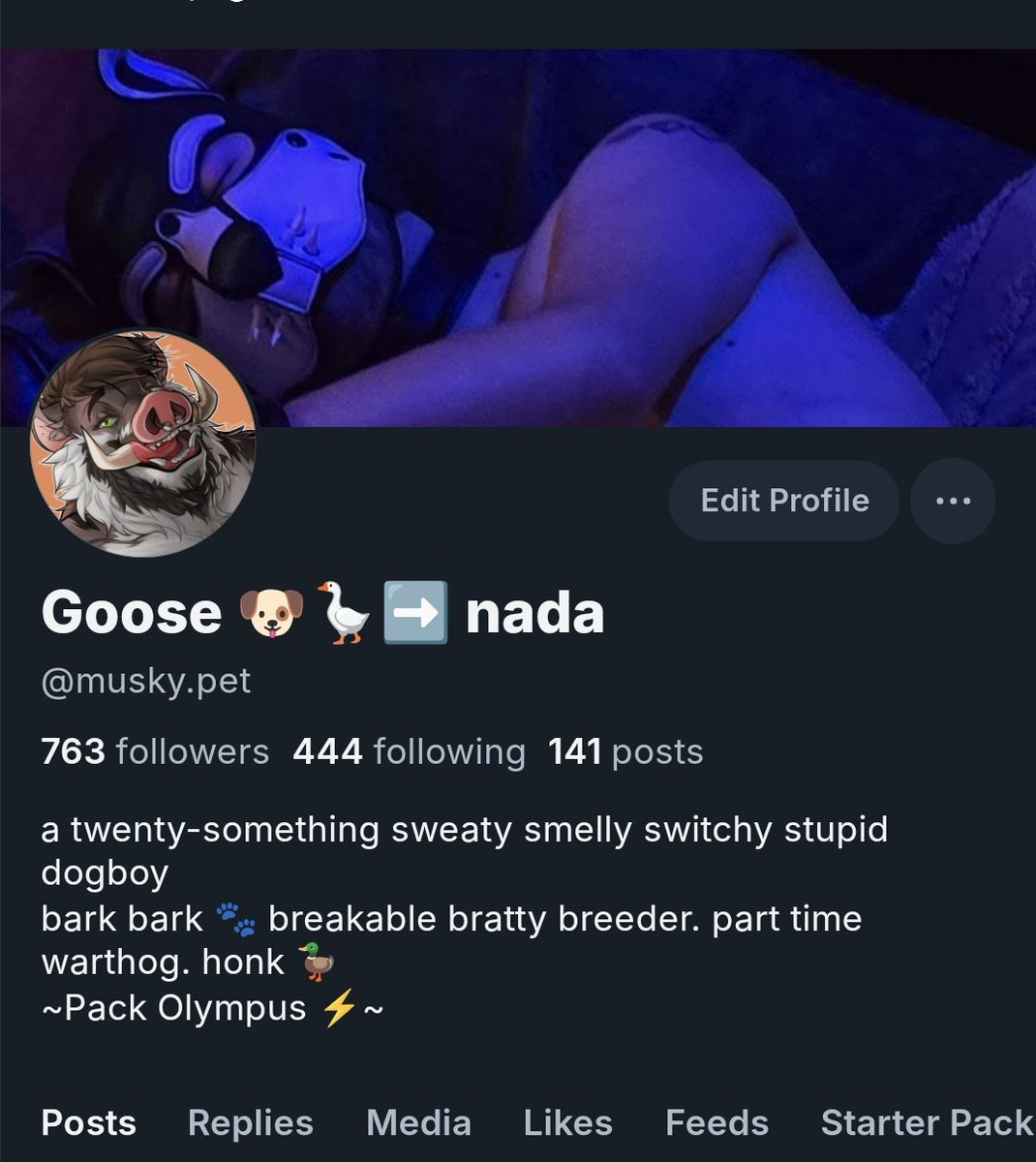 goose - inactive tweet media