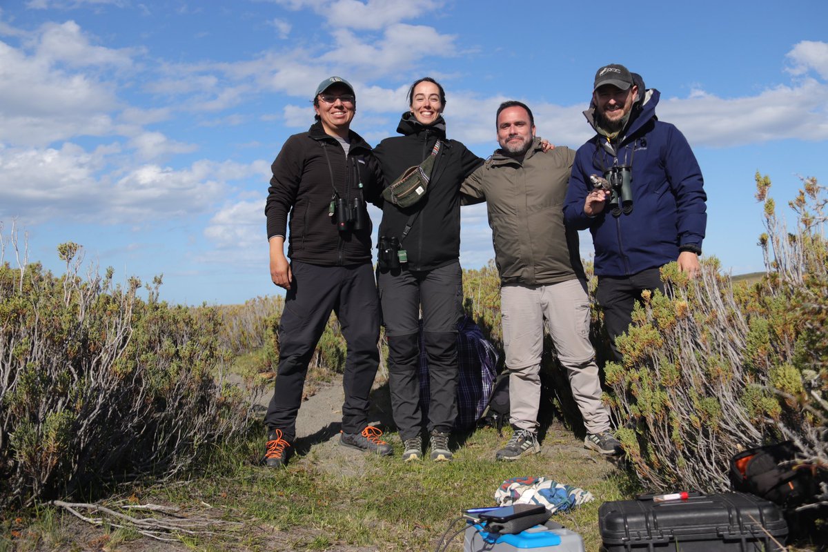Lxs 4 fantásticxs 😱😱😱😱
Bahía Lomas, #Magallanes 2024. Equipo de trabajo primera semana. 
Heraldo Norambuena 
Ludovica Giovanazzi
Pablo Galdames
Erick Sandvig