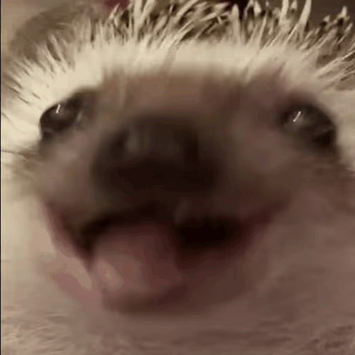 MFW every time I unlock my <a href="/phantom/">Phantom</a> wallet 

<a href="/Greg_OnSOL/">GREG</a>