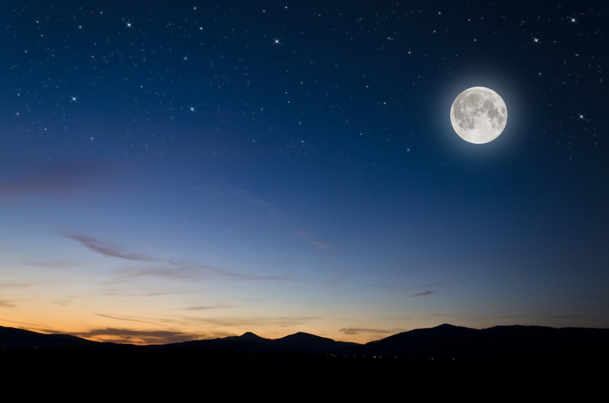 Challenge your senses on a full moon hike this Friday! A naturalist will guide you on an exciting, moonlit adventure under the Beaver Moon at either South Platte Park or Willow Spring Open Space from 5-6:30 pm. 🌝 Sign up to join either hike at bit.ly/3T49ZFS.