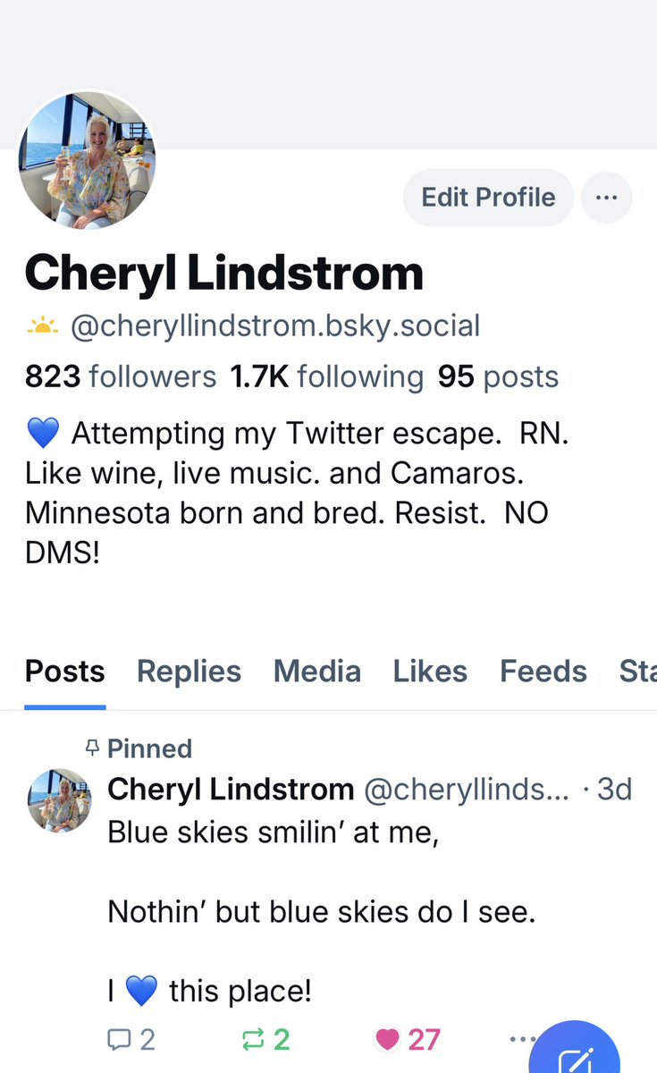 Cheryl Lindstrom 💙🇺🇸 tweet media