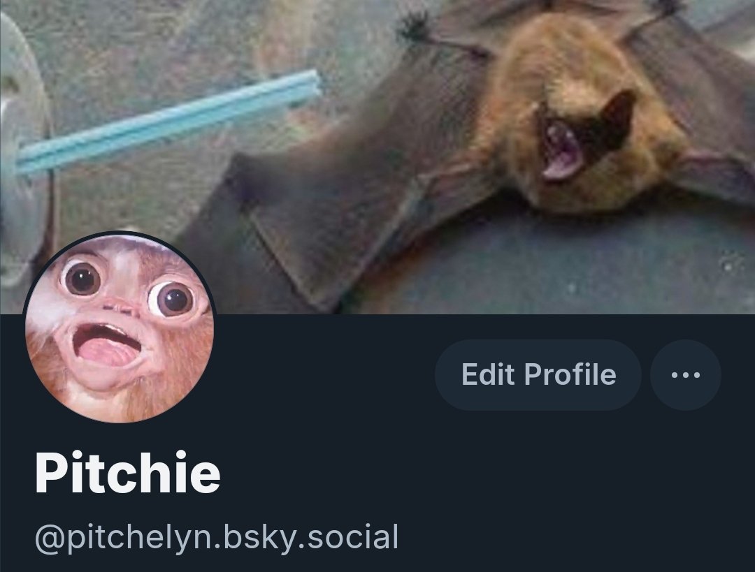 pitchelyn's tweet photo. I've officially moved over, sayonara Twitter https://t.co/8BbfIgSqTX
