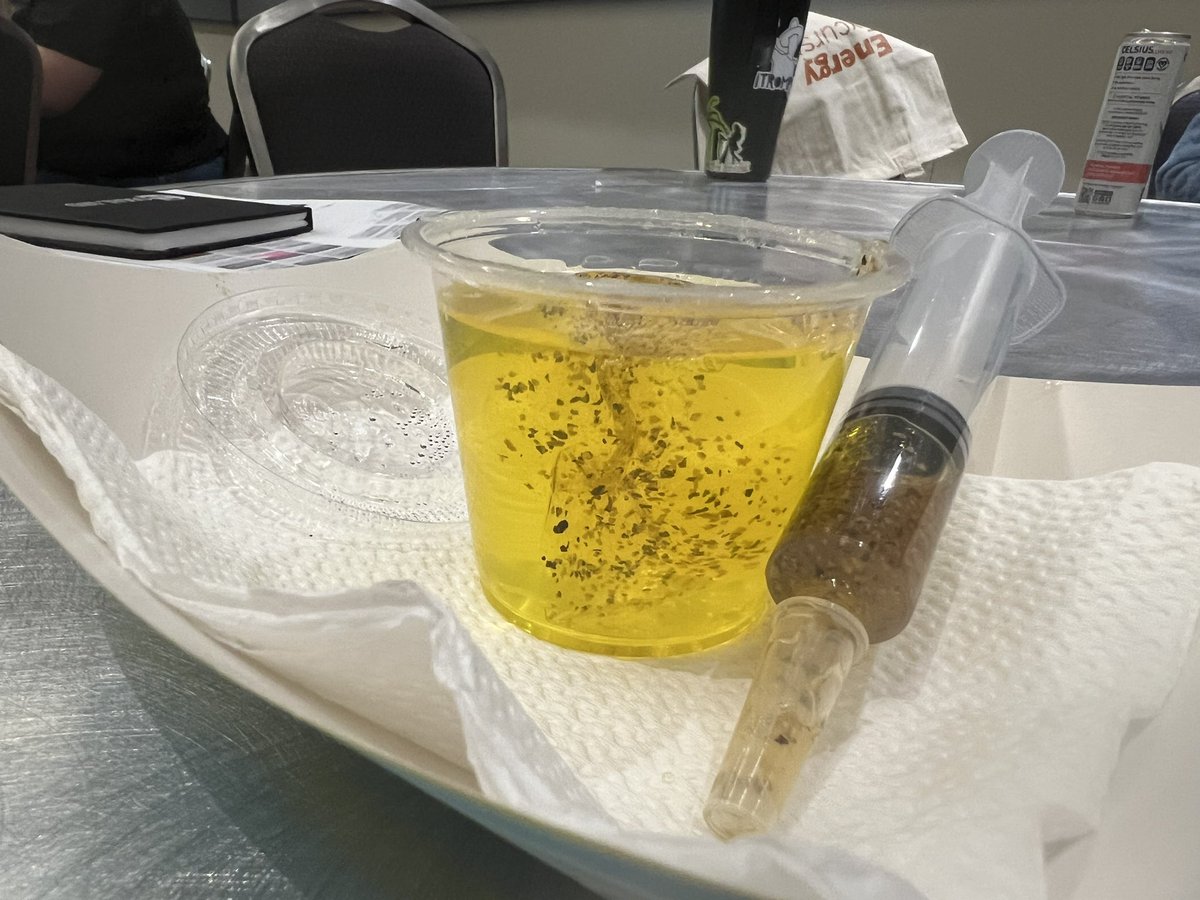 Jennifer Greenland tweet media