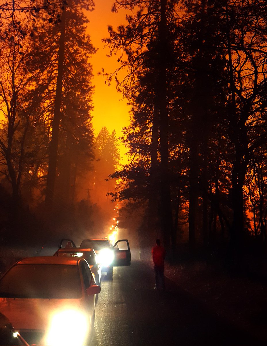 Climate Survivor x 2 tweet media