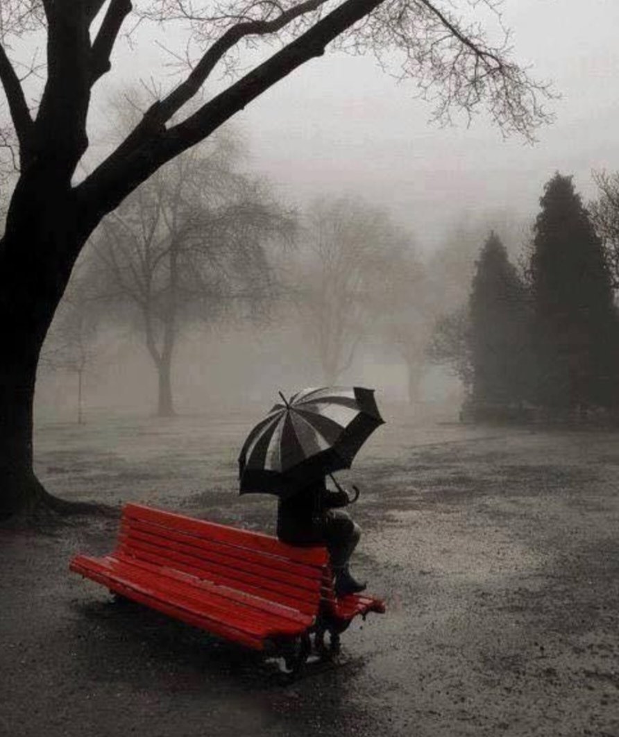 FrankCapitone's tweet photo. #PoesiaPerLaSera 💫

La nebbia appare come conforto del solitario.
Essa colma l' abisso che la circonda.
✍️ Walter Benjamin 

#VentagliDiParole 🌜

Photo Pinterest 📸 https://t.co/E69ak2yH78