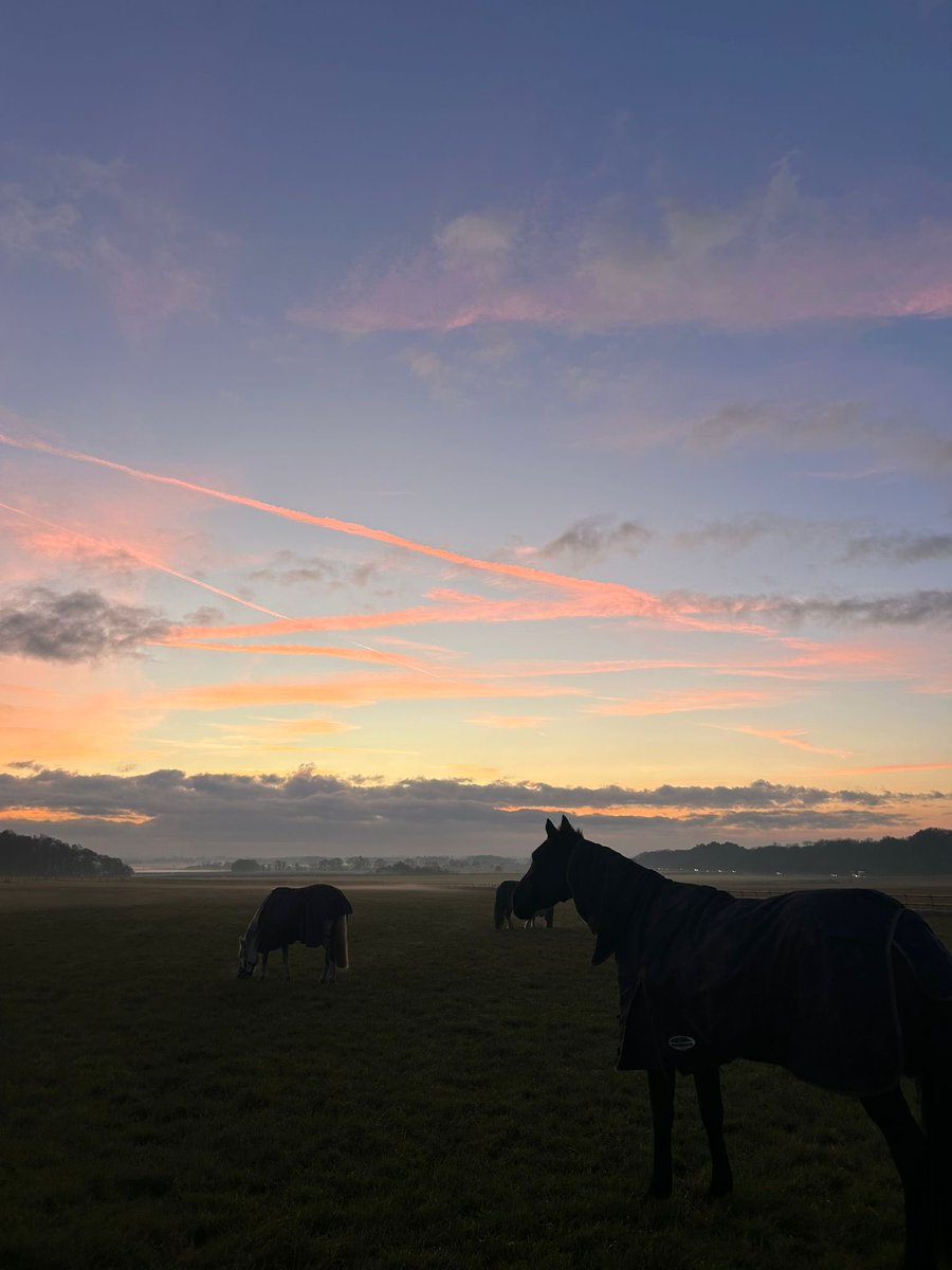 <a href="/snookarchitects/">neil dawson</a> #loverpool