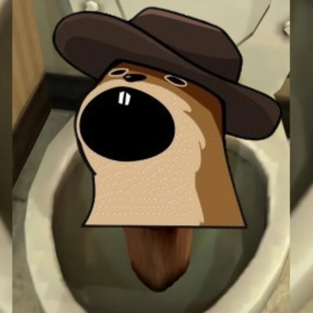 popnut_onsol's tweet image. gM $POPNUT