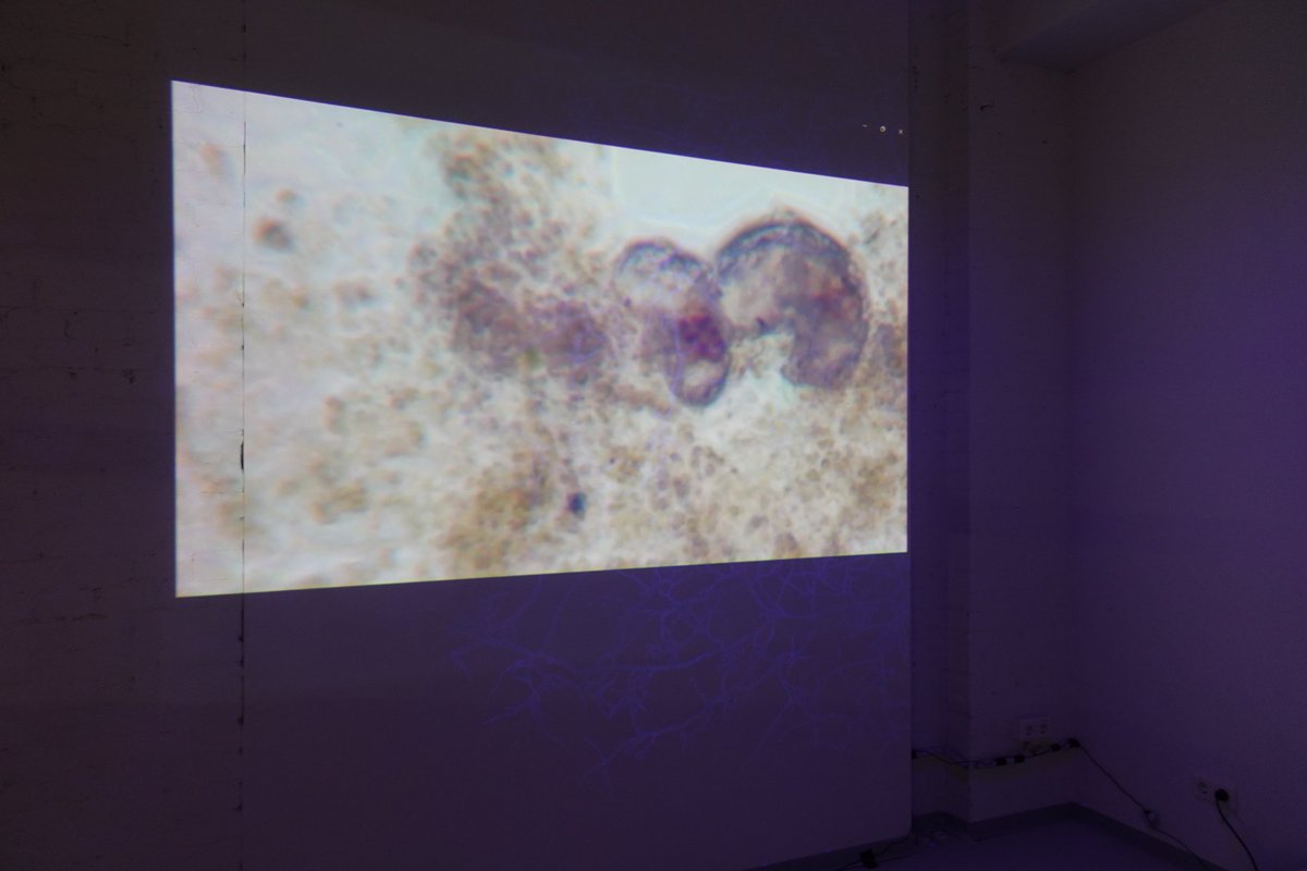 TheRebelsPro8's tweet photo. Screening &amp; Video Installation of "AESTHETIC Z: KOSM" Short Film
A Film By Mani Jahnnama &amp; Abtin Azghandi

9th November 2024
420 Trip Show
Berlin, Germany https://t.co/ZHo8otYUT6