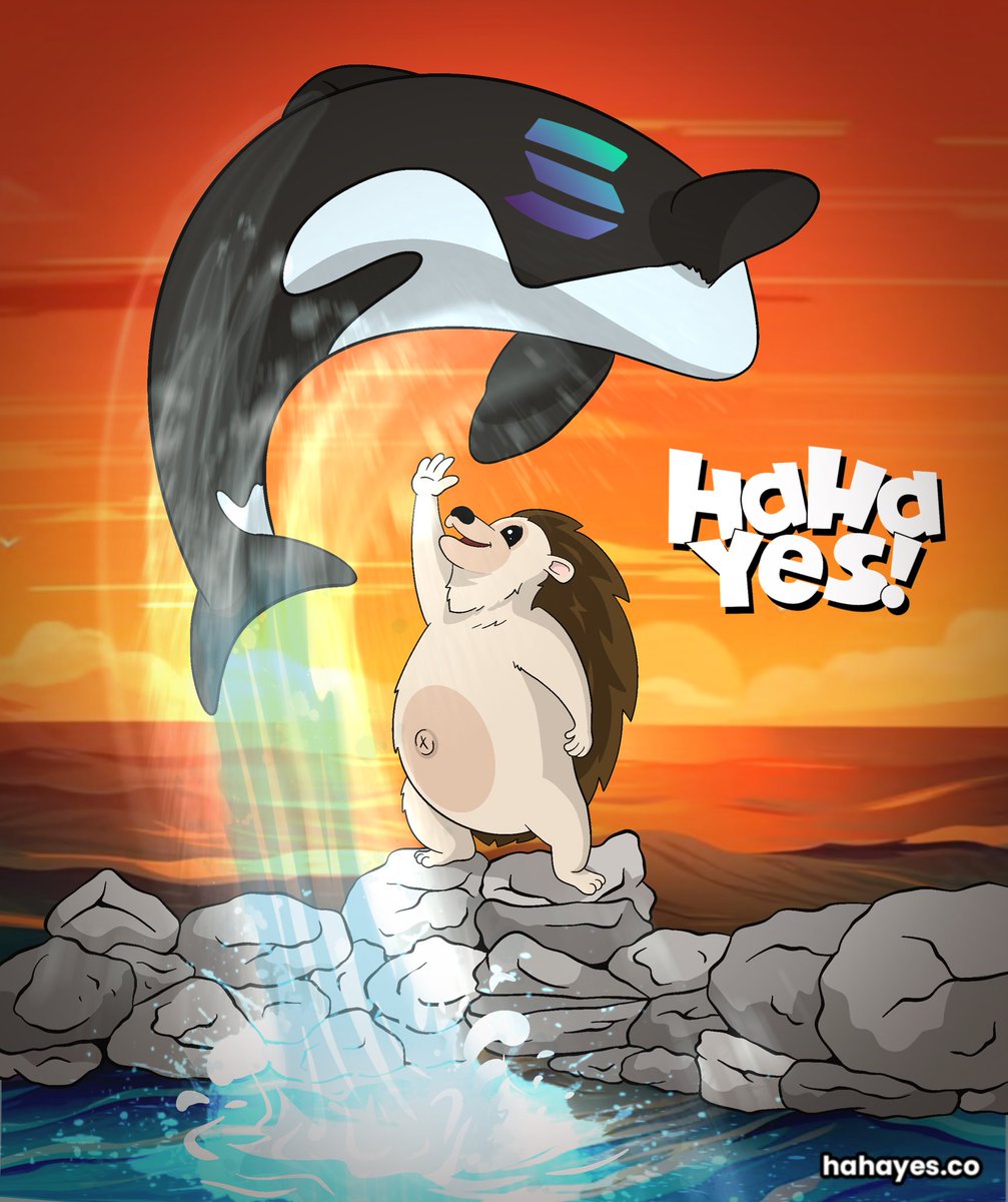 The whales are ready to make a splash 👀🦔🐋