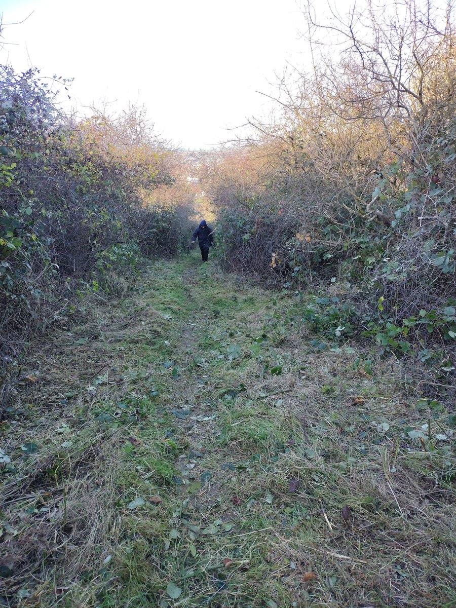Debbie Alston (@debbie1alston) on Twitter photo Footpath clearing today on part of Seaford Head with the <a href="/sdnpa/">South Downs National Park</a> volunteers Footpath clearing today on part of Seaford Head with the <a href="/sdnpa/">South Downs National Park</a> volunteers