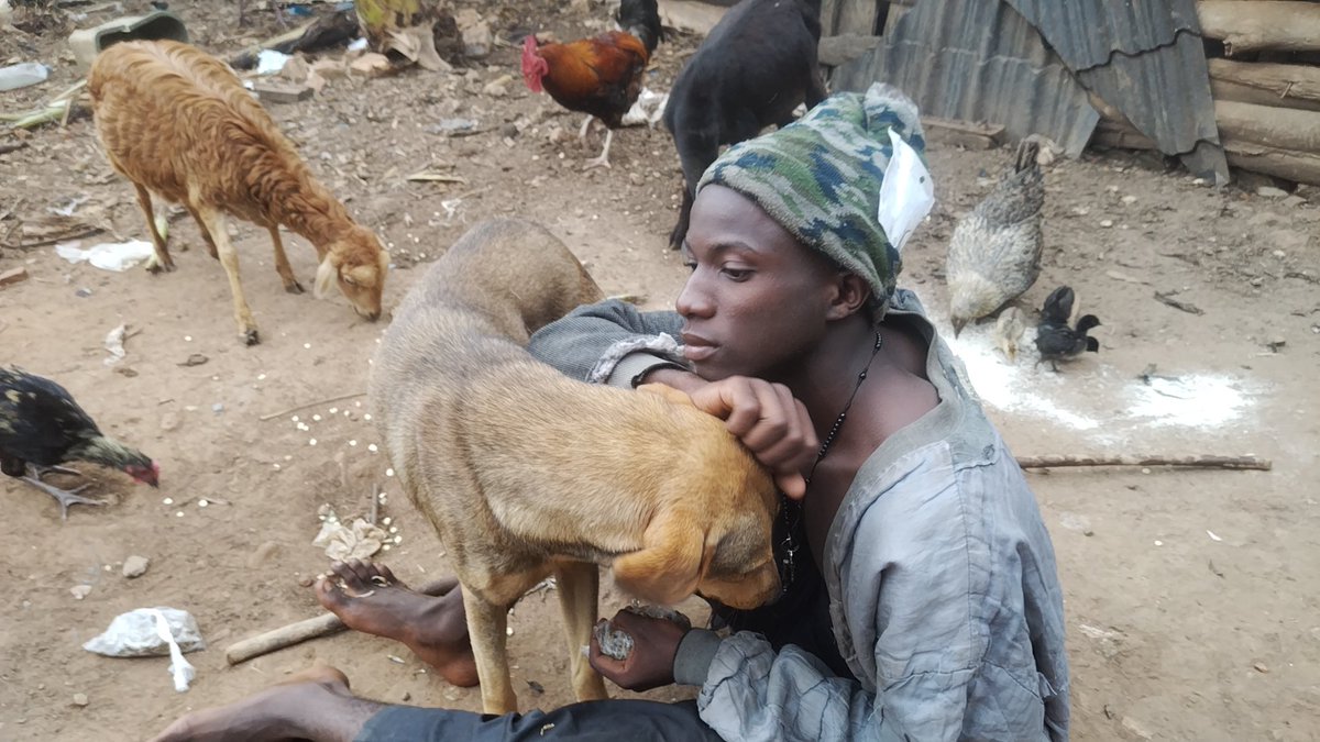 sengendojoseph's tweet photo. I can't be fine when animals are not fine please help me to give enough medication to mart and freedom they're not yet ok after the lightning attack donating details PayPal : ratiodeka05@gmail.com or western union with my details https://t.co/5vClsYD2g5