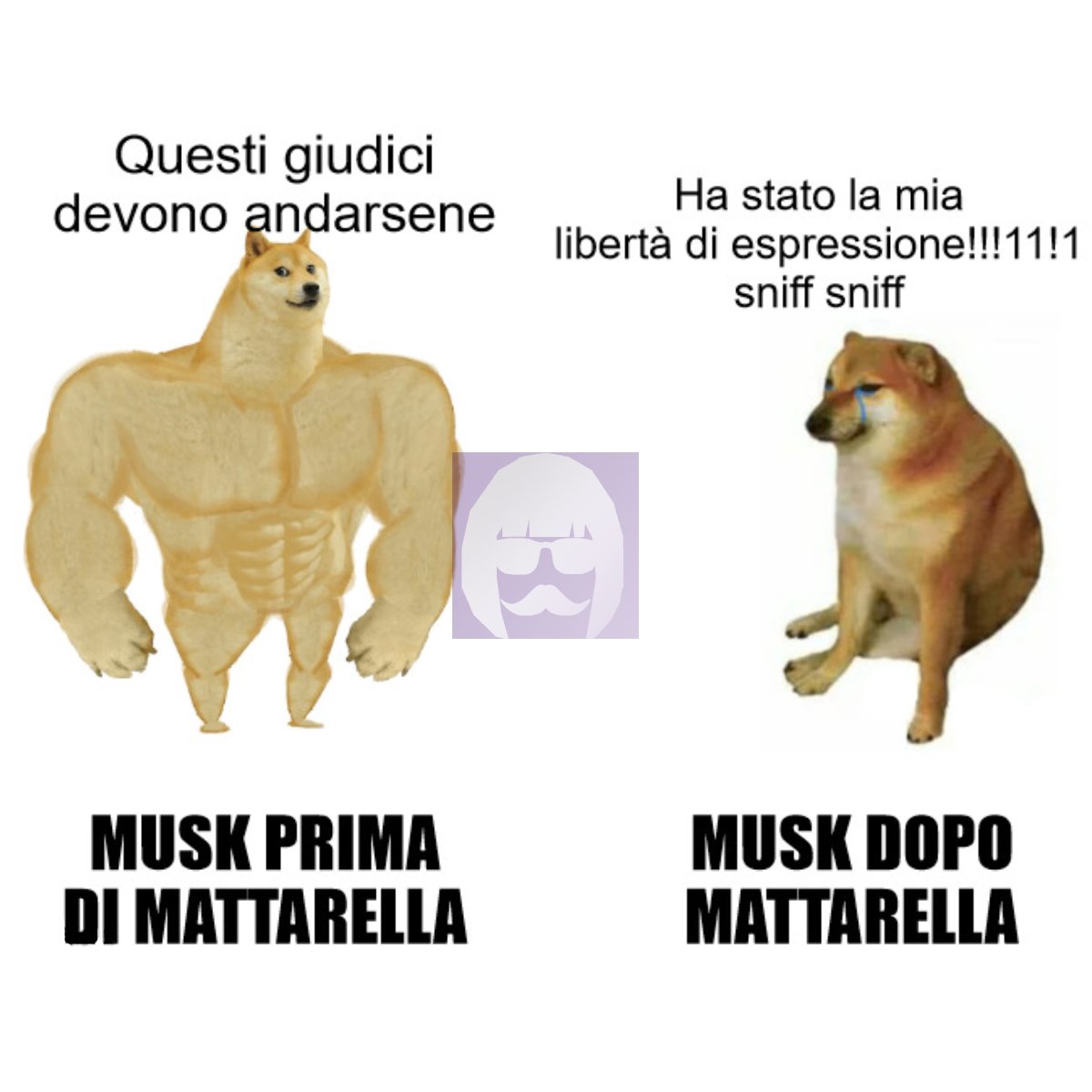 AFemministe's tweet photo. ELON MUSK BEFORE MATTARELLA: "These judges need to go!"
ELON MUSK AFTER MATTERELLA: "It was my freedom of expression!!!!!11!1 sniff sniff"
Intanto i patrioti così 👅💦 sulle chiappe di Elon
.
.
#ElonMusk 
#SergioMattarella https://t.co/Euynf3yKAK