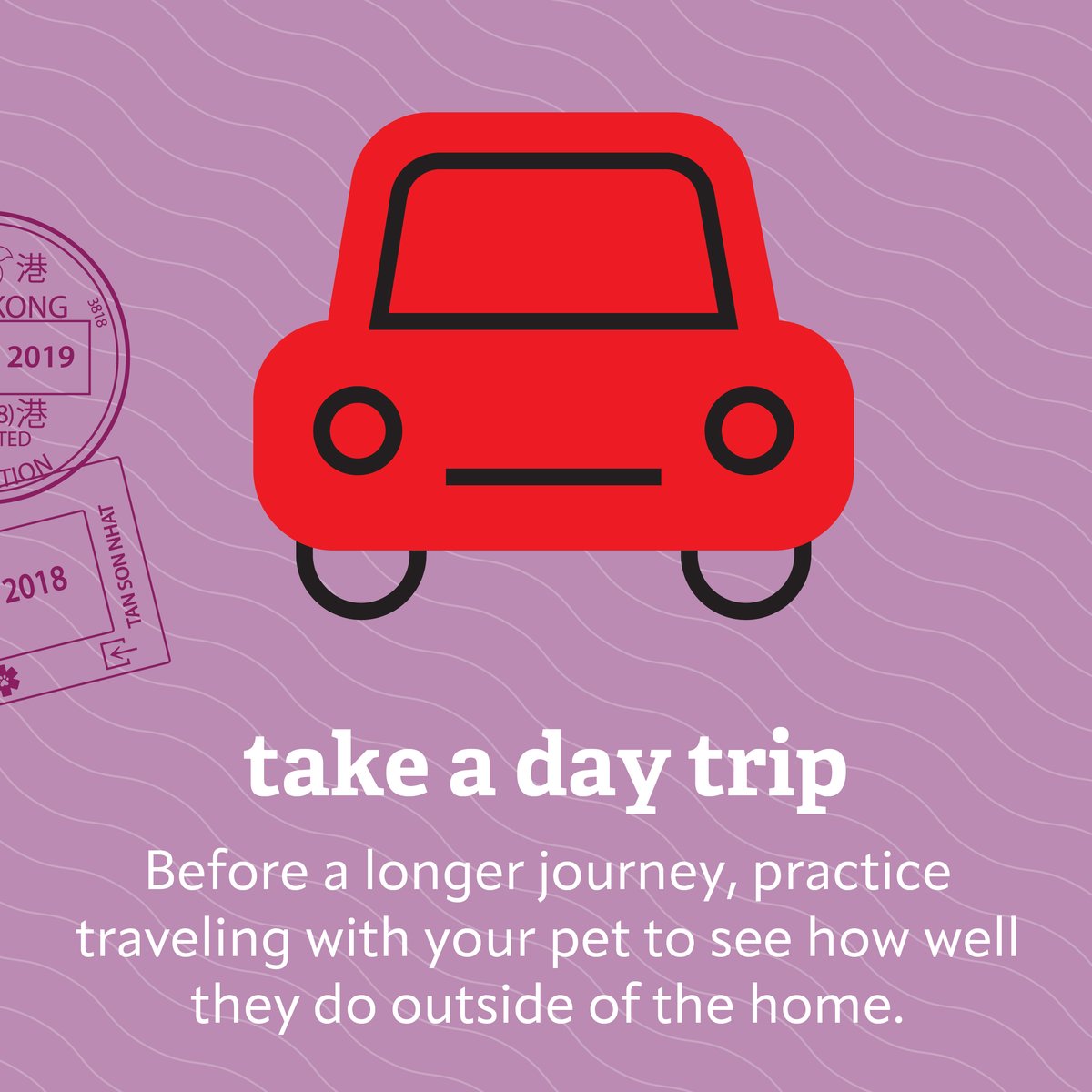 VEGERforpets's tweet image. Bringing your furry bestie 🐕 on your holiday travels? 🚙🚉🛫 We have plenty of tips to keep them happy and safe along the way! ow.ly/pknh50TZvmL

Pet emergency? Remember, VEG is open 24 hours a day, even on holidays! 

#VEGolution #petsafety #holidaytravel