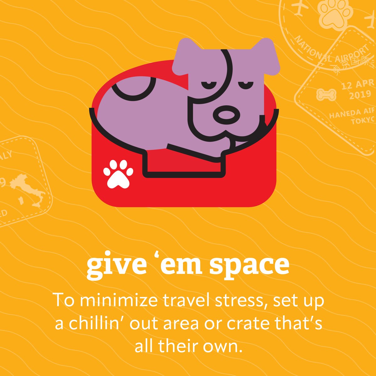 VEGERforpets's tweet image. Bringing your furry bestie 🐕 on your holiday travels? 🚙🚉🛫 We have plenty of tips to keep them happy and safe along the way! ow.ly/pknh50TZvmL

Pet emergency? Remember, VEG is open 24 hours a day, even on holidays! 

#VEGolution #petsafety #holidaytravel