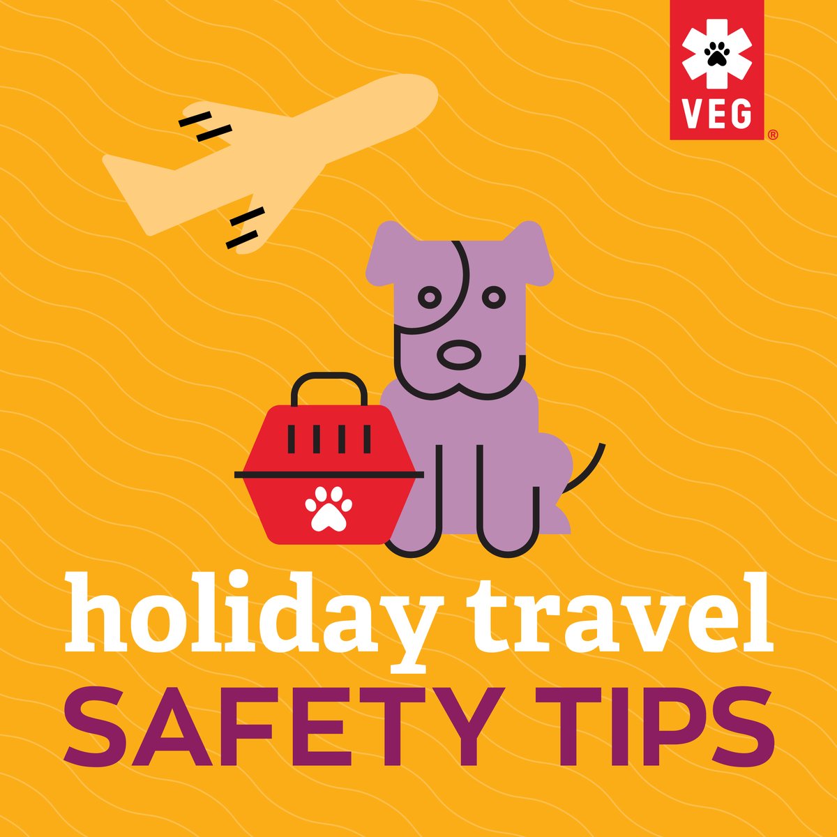 VEGERforpets's tweet image. Bringing your furry bestie 🐕 on your holiday travels? 🚙🚉🛫 We have plenty of tips to keep them happy and safe along the way! ow.ly/pknh50TZvmL

Pet emergency? Remember, VEG is open 24 hours a day, even on holidays! 

#VEGolution #petsafety #holidaytravel