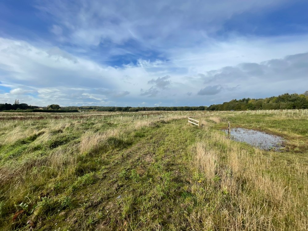merseyforest's tweet photo. 🌊 Exciting news! We’ve secured over £198,000 from @EnvAgency's NFM Programme for a new Natural Flood Management project in Whitewell Brook, near Rossendale. This initiative will help reduce flood risk for local communities.

Read more 👉https://t.co/37Kj7CcG53 https://t.co/H7pn3CtGFV