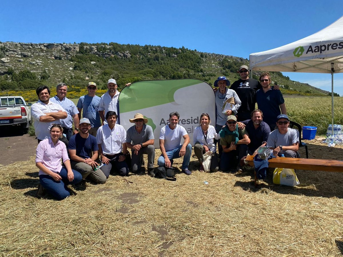 aapresid's tweet photo. 📍UPA FINA | Regional @AapreMDQFangio 

Acompañamos a nuestra Regional durante su jornada sobre lo último en genética, bioinsumos, fertilizantes, fungicidas y control de malezas difíciles (Ryegrass y Crucíferas).

Complementando con el repaso del rol fundamental de la huella C en nuestros sistemas. 🔍

¡Sumate a la próxima jornada! #JuntosSabemosMás 🚀
